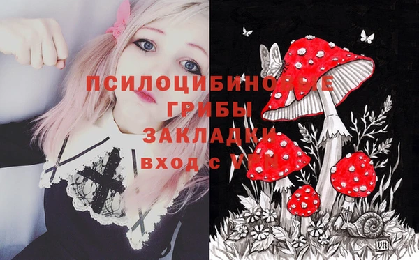 молекула духа Беломорск